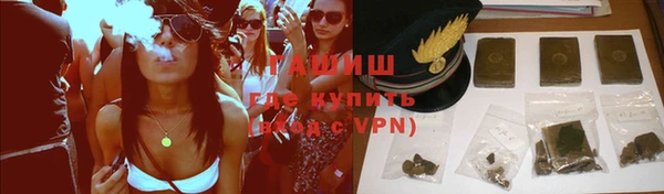 дмт Алексин