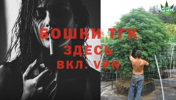 дмт Алексин