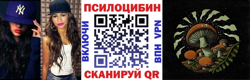 магазин продажи наркотиков  Колпашево  Псилоцибиновые грибы Psilocybine cubensis 